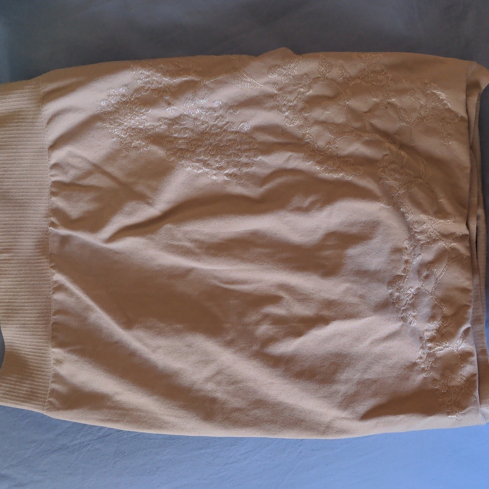 Under Skirt Hanes Shapewear with panty